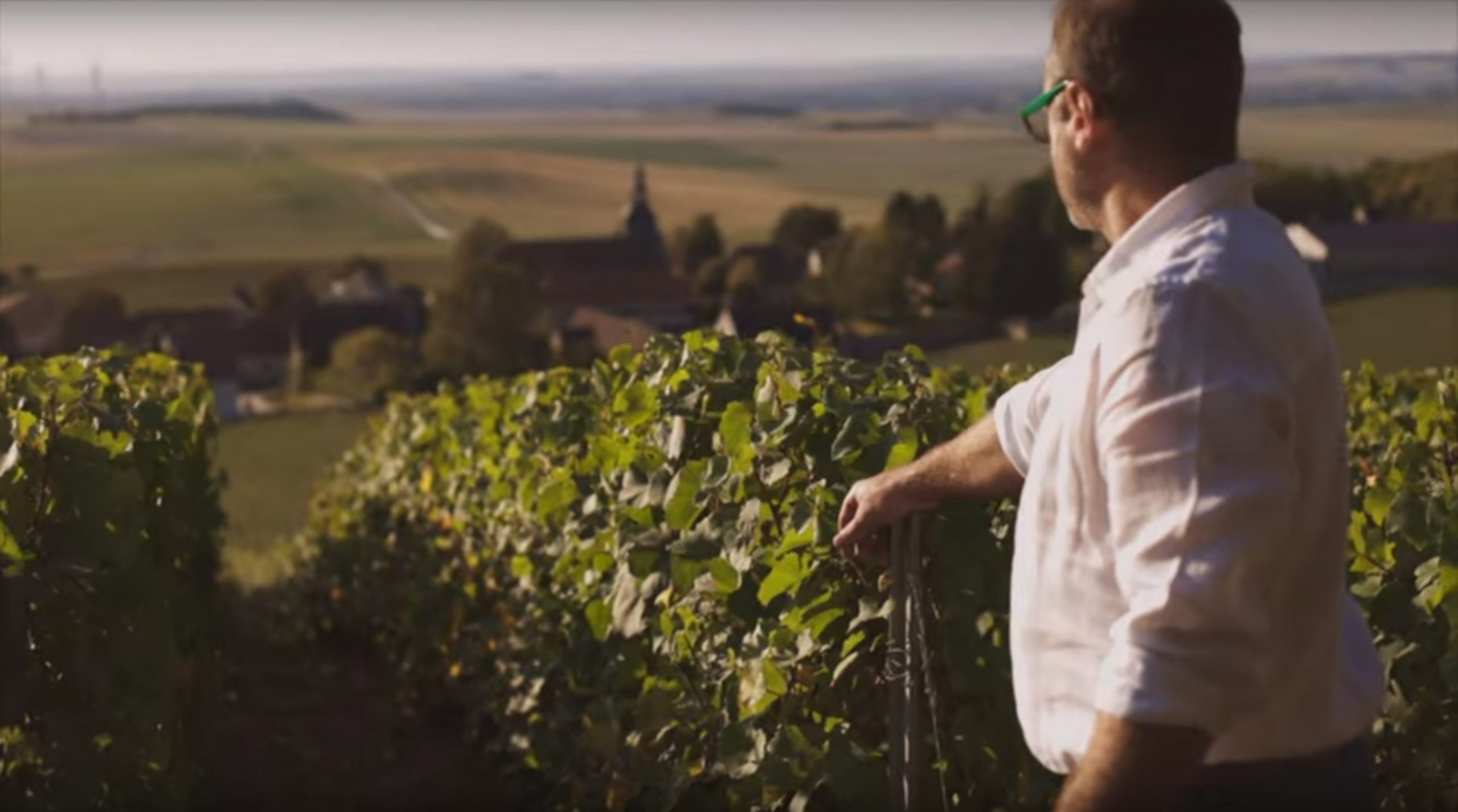 Benoît Cocteaux dans les vignes la révélation - Agence Discovery