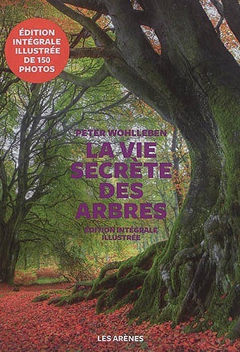 Livre La vie secrète des arbres - Recommandation Anselme Sélosse - Les Nouveaux Explorateurs Agence Discovery