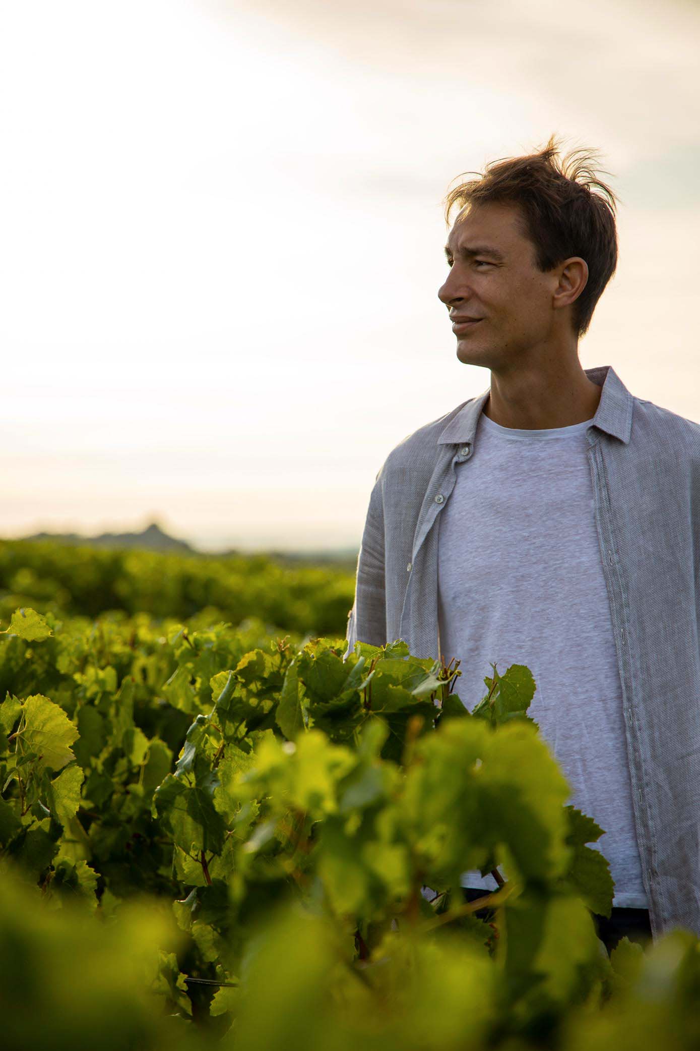 Antoine dans les vignes pour le reportage photo du Champagne Antoine Chevalier - Agence Discovery