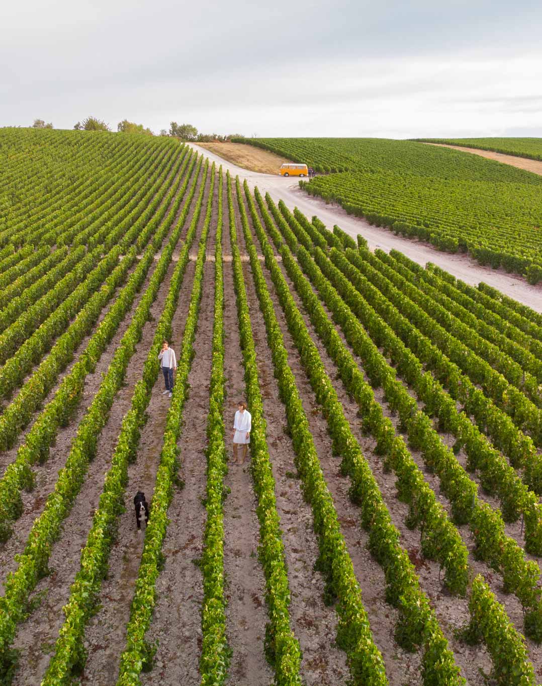 Reportage photo dans le vignoble du Champagne Antoine Chevalier - Agence Discovery Reims & Paris