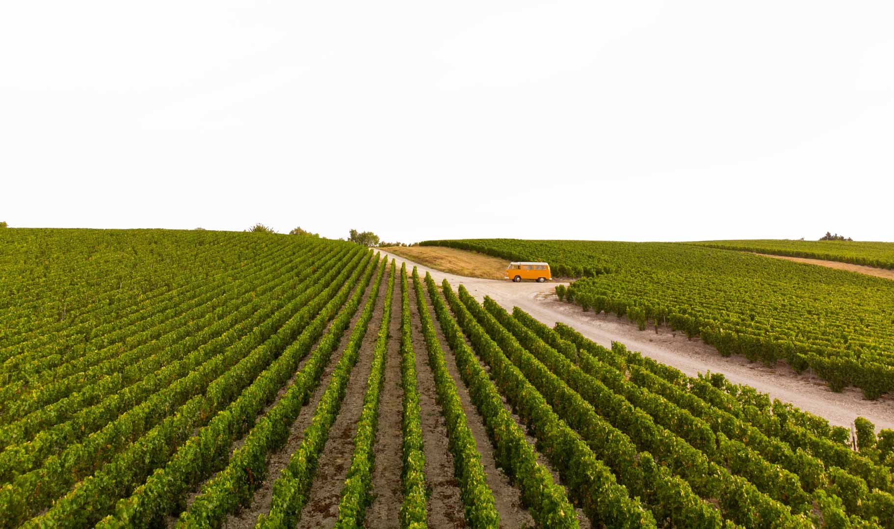 Reportage photo du vignoble Champagne Antoine Chevalier - Agence Discovery Reims & Paris