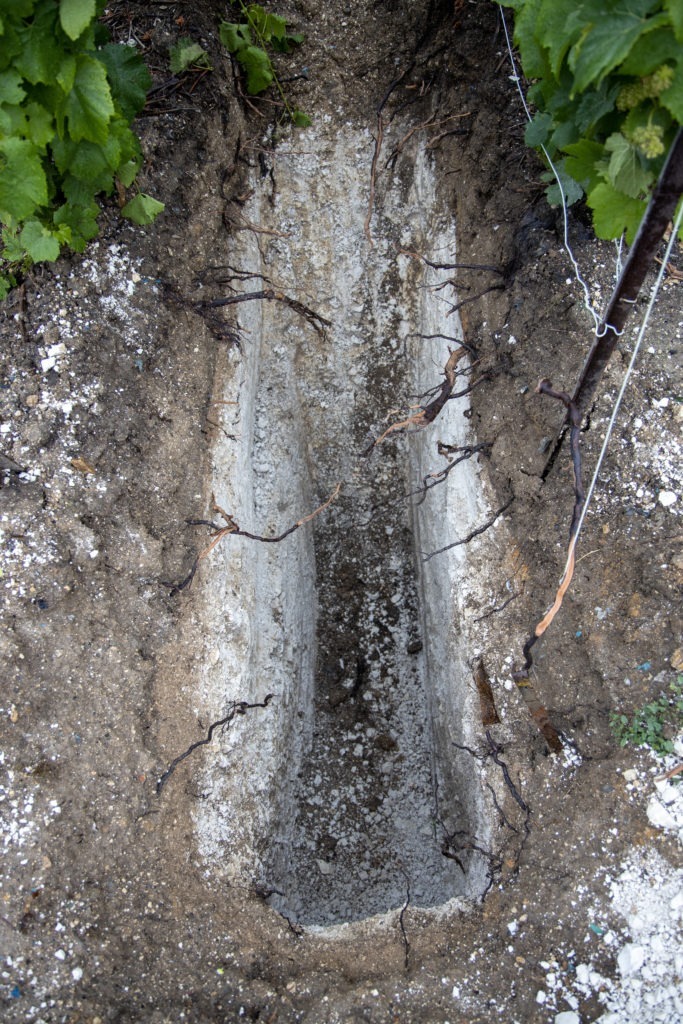 Fosse pédologique dans une parcelle du Champagne Benoit Cocteaux - Identité terroir - Agence branding Discovery Reims