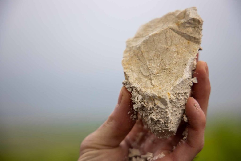 Morceau de craie du terroir du Champagne Benoît Cocteaux - Agence Discovery Reims