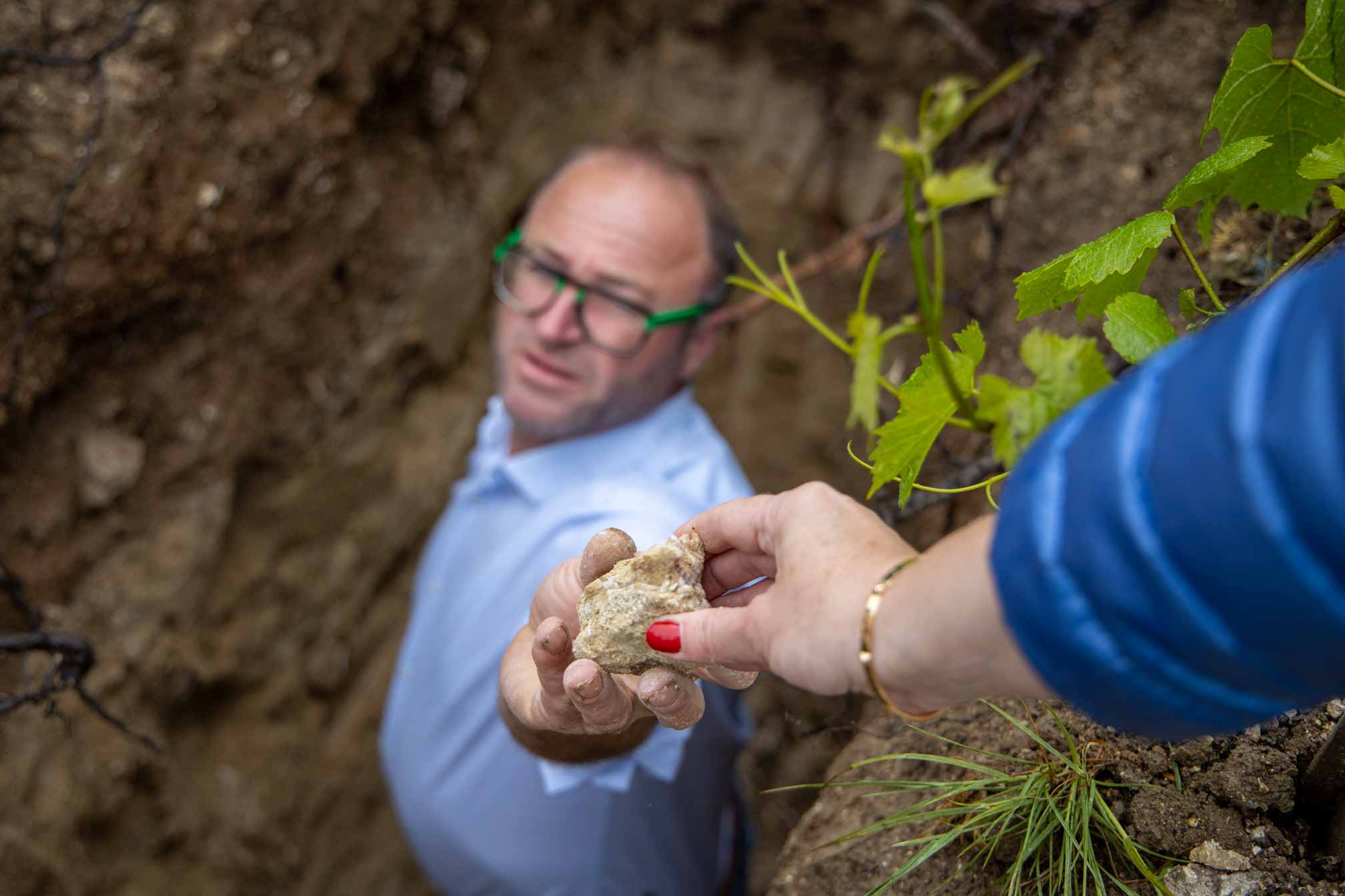 Benoit du Champagne Benoit Cocteaux - Identité terroir - Agence Discovery