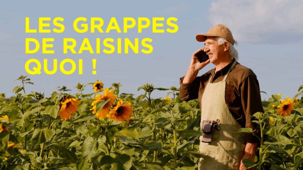 Fleur de vigne et grappe de raisins par le Champagne Nicolas Feuillatte - Réalisation Agence Discovery Reims