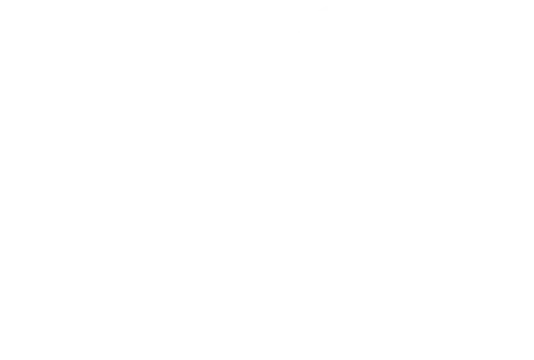 Logo L&C Poitout