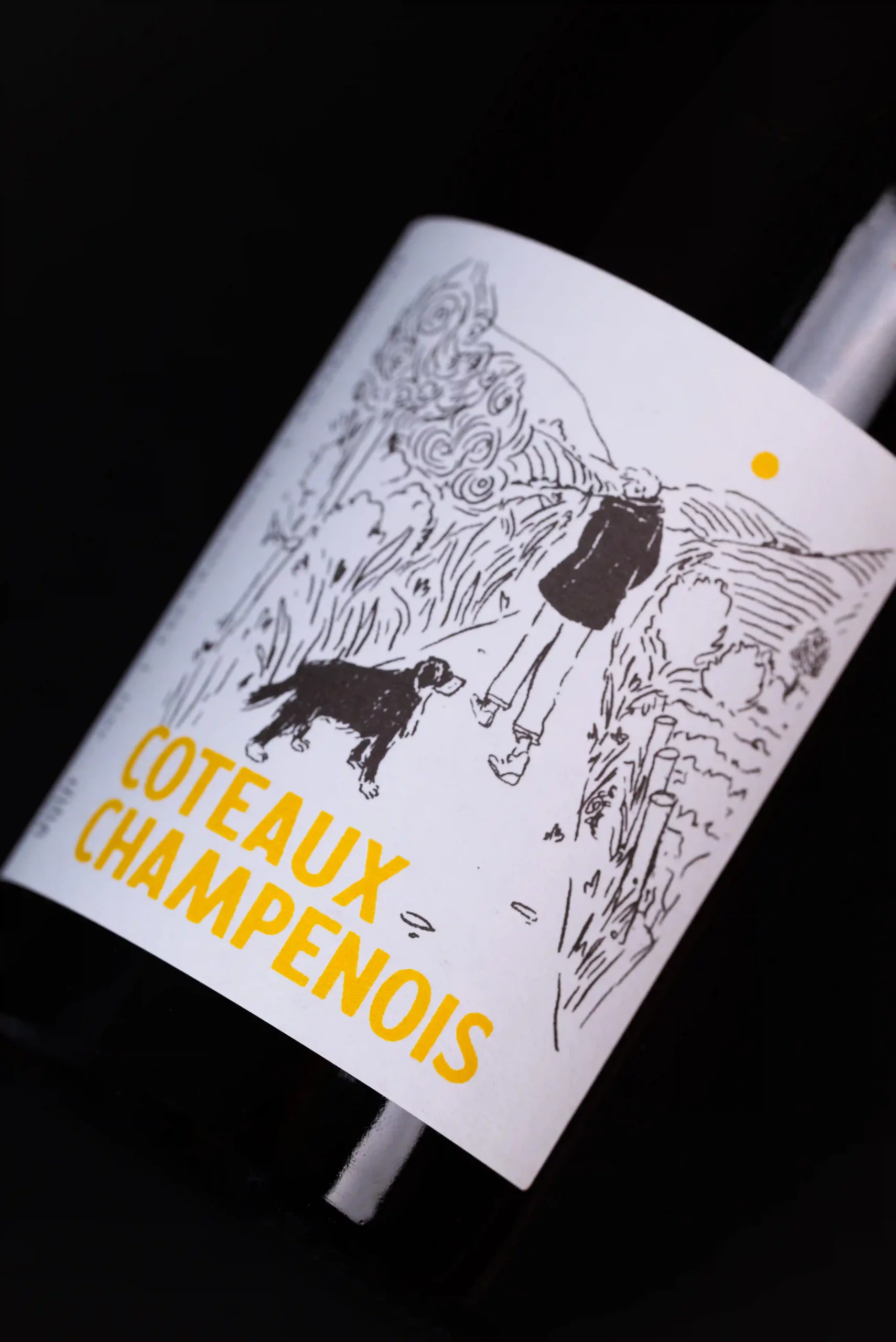 Coteaux champenois du Champagne Antoine Chevalier à Vitry-en-Perthois | Agence Discovery