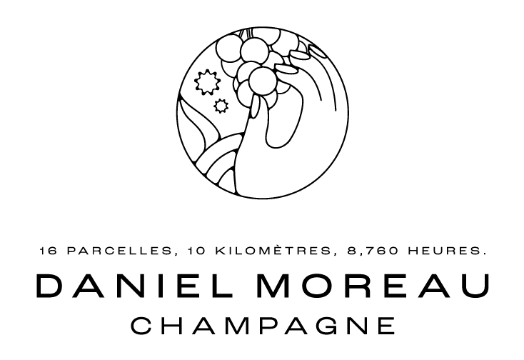 Logo du Champagne Daniel Moreau | Agence Discovery